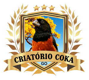 Criatório Coka - Curió Praia Clássico - Goiânia/GO